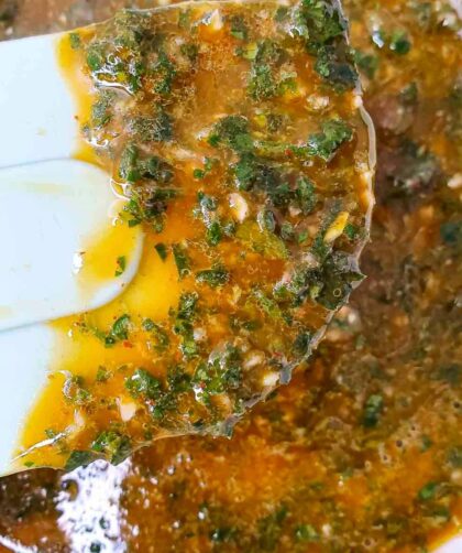 Bobby Flay Chimichurri Sauce​