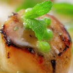 Caramelized Scallops with Fresh Green Pea Vinaigrette