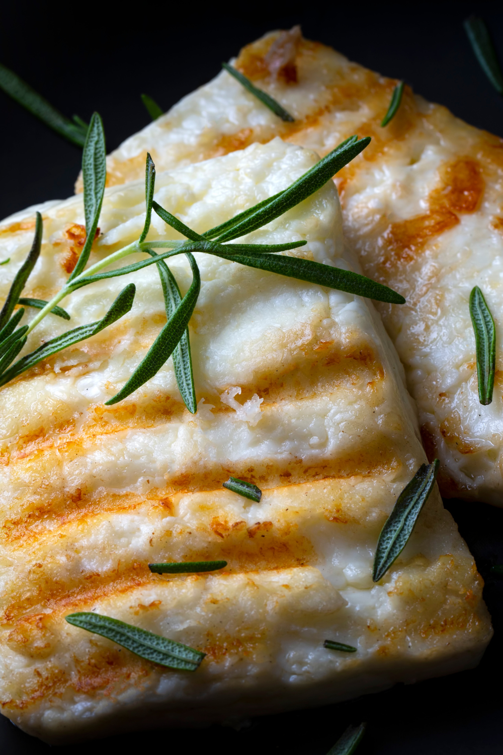 Grilled Halloumi Cheese